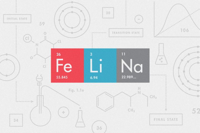 felina-660x440