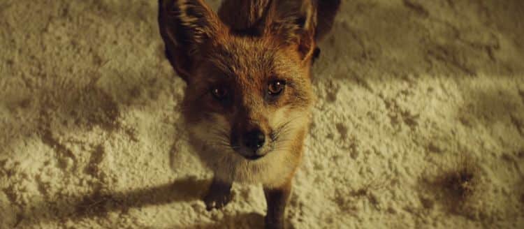 Spot de John Lewis
