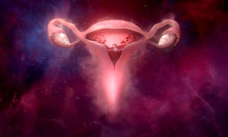 WombStories, mejor campaña de publicidad de 2021