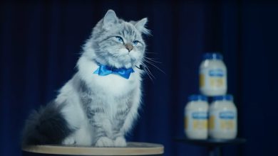 Anuncio de Hellman's para la Super Bowl