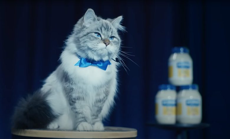 Anuncio de Hellman's para la Super Bowl