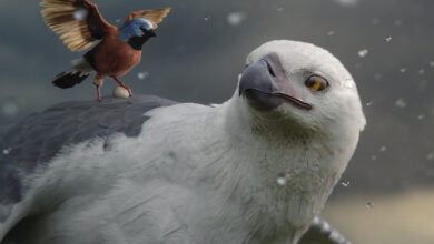 Anuncio de Allianz | Flight of the Finch